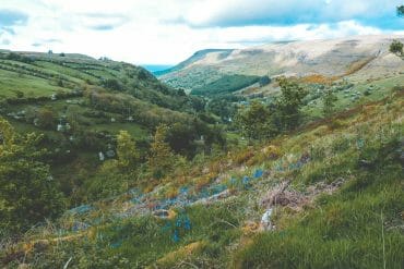 la Forêt de Glenariff