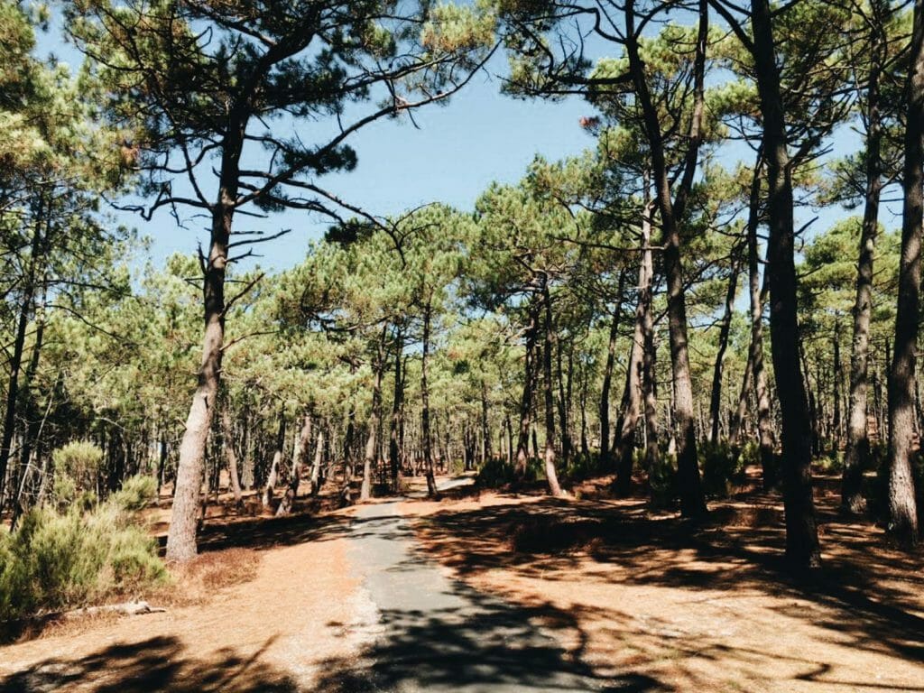 piste cyclable bassin arcachon