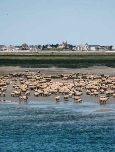 visiter saint valery sur somme