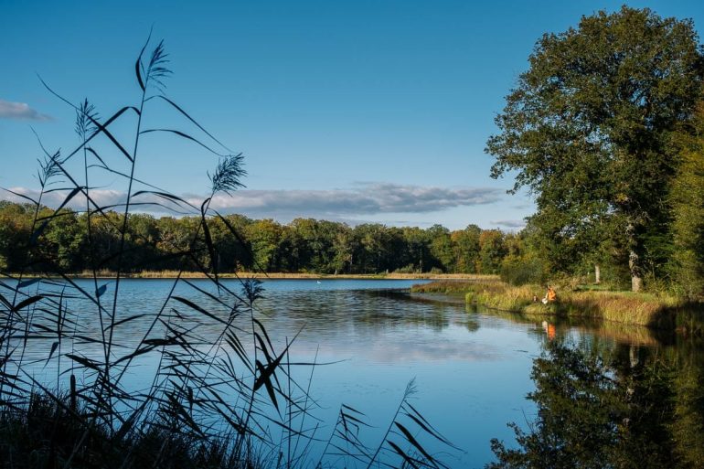 Lac Du Der En Champagne 5 Activit s Faire Pour Un Weekend Nature lac-du-der-en-champagne-5-activit-s-faire-pour-un-weekend-nature