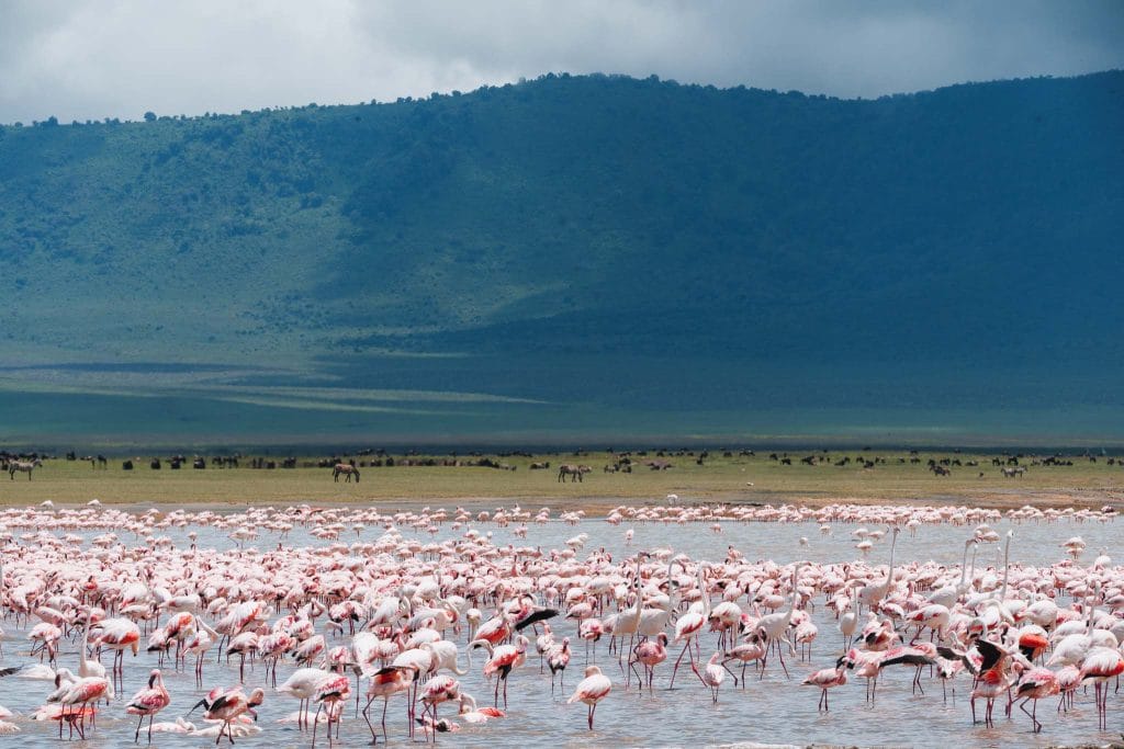 cratère Ngorongoro