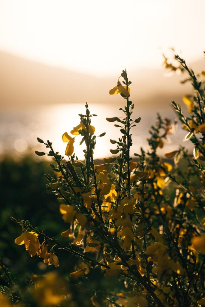 coucher de soleil Highlands