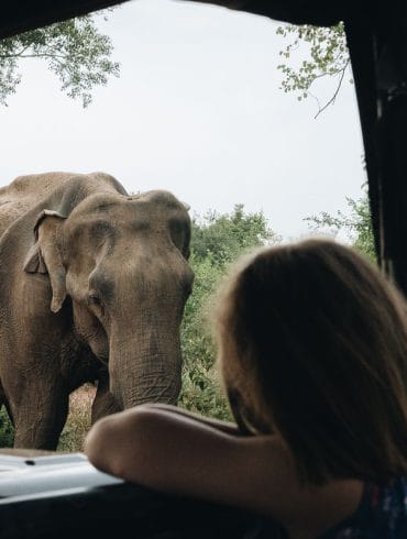 Safari Udawalawe