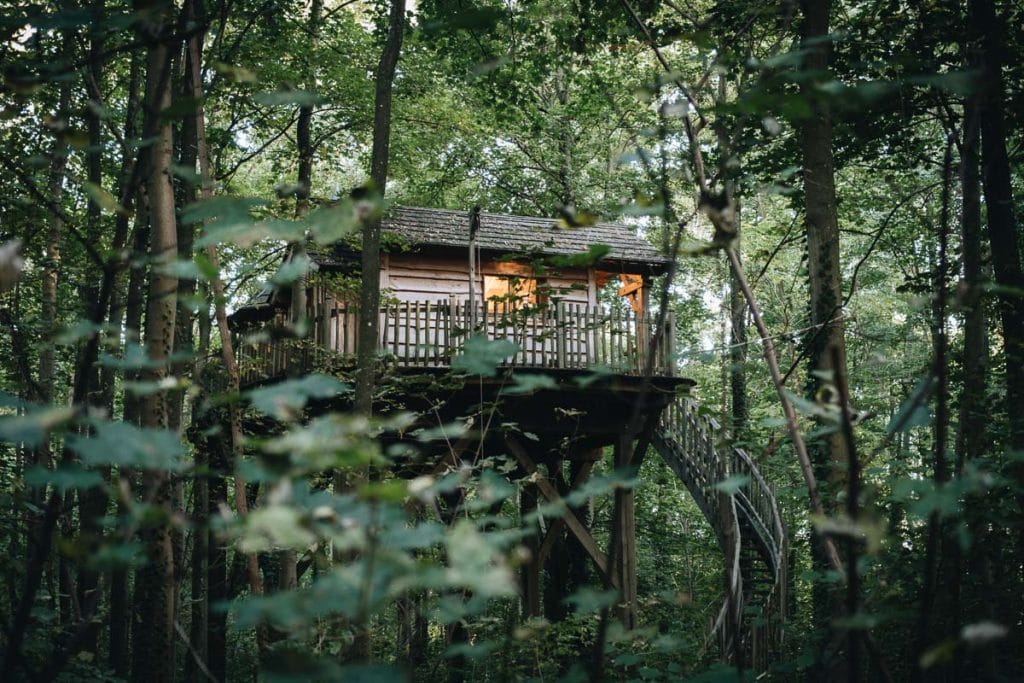 Vue nocturne d'une cabane en bois allumée, nichée au cœur d'une forêt verdoyante et dense