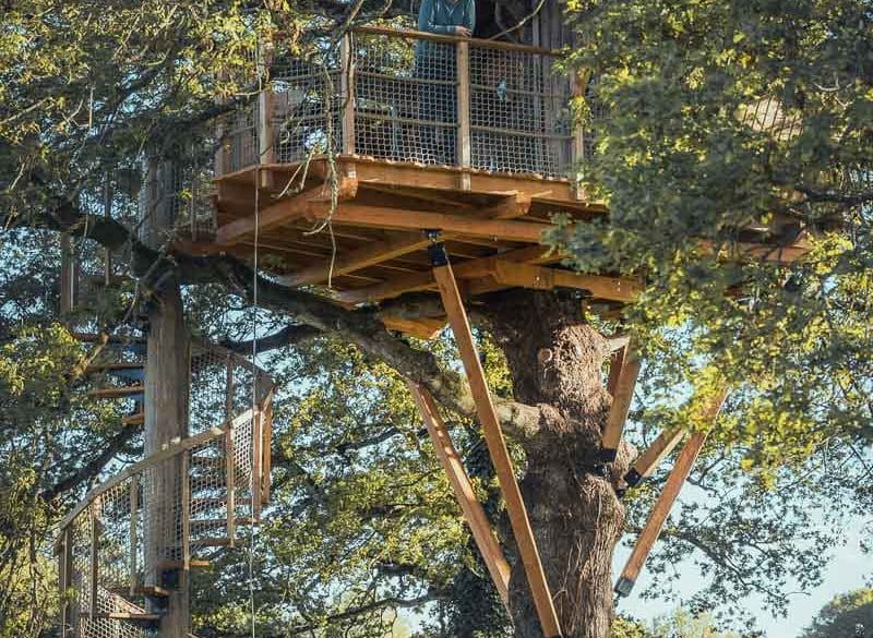 Homme admirant la vue panoramique sur la forêt depuis le balcon en bois d'une cabane perchée.