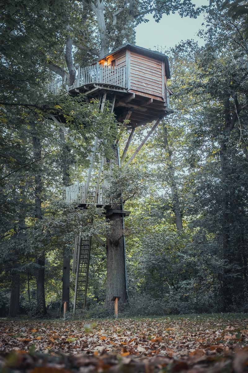 Cabane en bois perchée au milieu d'une forêt aux couleurs d'automne