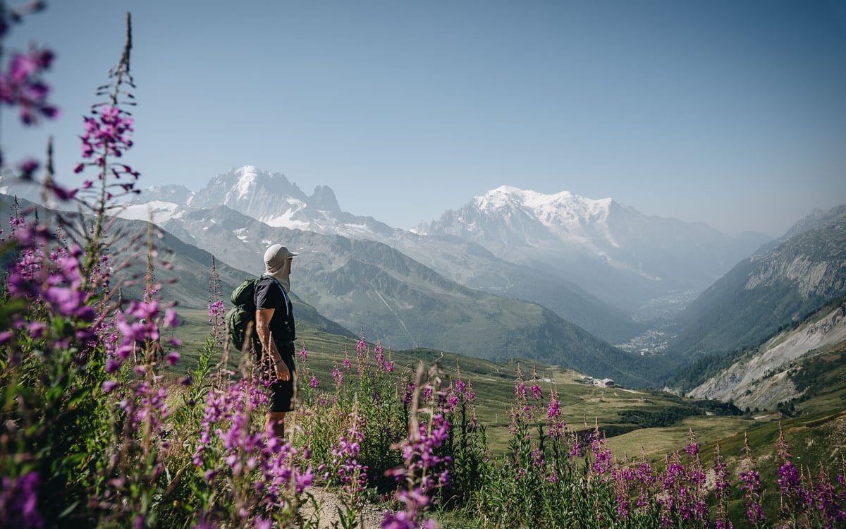 Randonneur admirant le Mont-Blanc au milieu d'un champ d'épilobes en fleurs