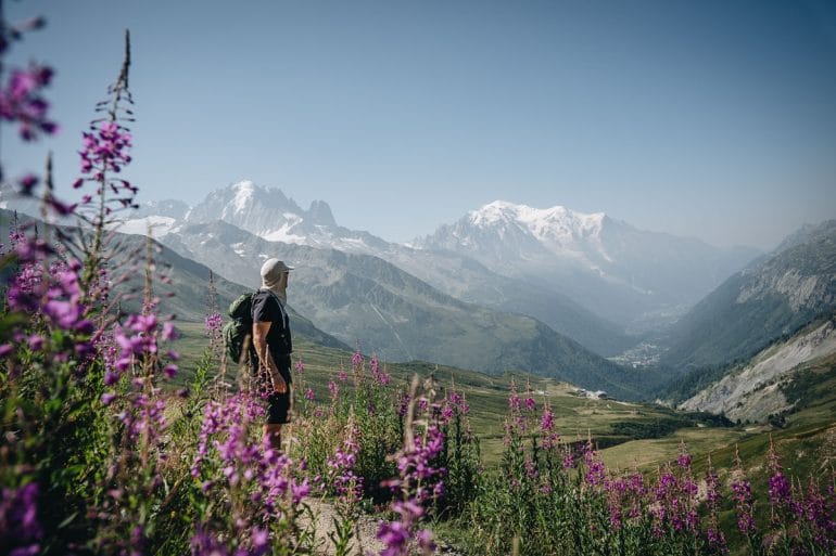 Randonneur admirant le Mont-Blanc au milieu d'un champ d'épilobes en fleurs